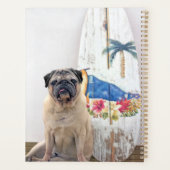 Surf-Mops Planer (Rückseite)