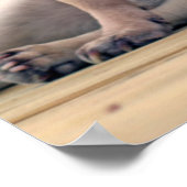 Surf-Mops Poster (Ecke)