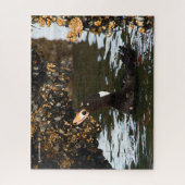 Surf Scoter Feasting auf Mussels und Barnacles Puzzle (Vertikal)