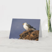 Surf Up! Birthday Card Karte (Rückseite)