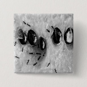 Surfameisen Button