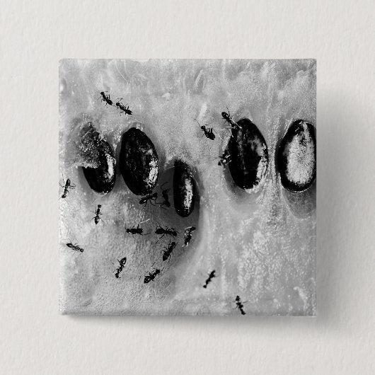 Surfameisen Button (Vorderseite)