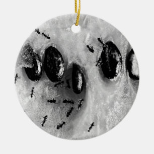 Surfameisen Keramikornament