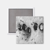 Surfameisen Magnet (Vorderseite/Rückseite)