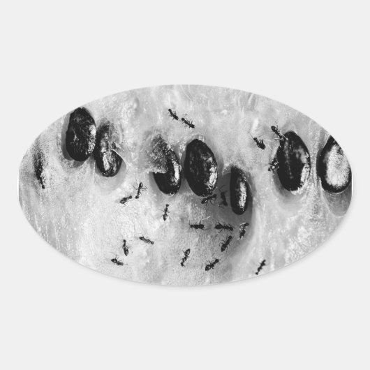 Surfameisen Ovaler Aufkleber (Vorderseite)