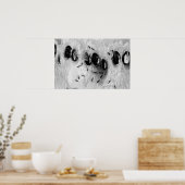 Surfameisen Poster (Küche)