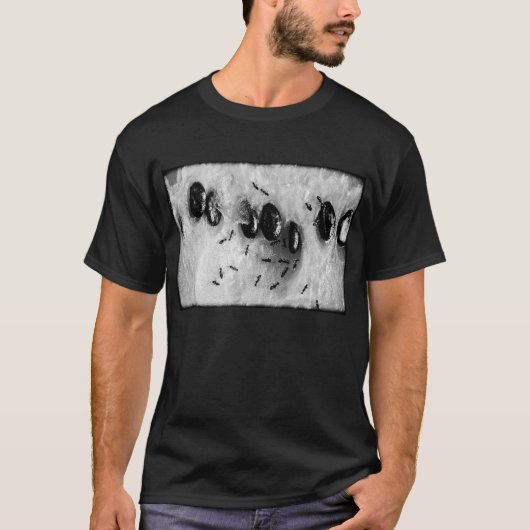Surfameisen T-Shirt (Vorderseite)