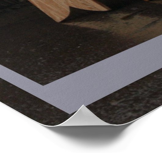 Surfausrüstung Poster (Ecke)