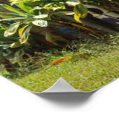 Surfboard Fence Maui, HI Poster (Ecke)