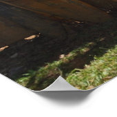 Surfboard Fence Maui, HI Poster (Ecke)