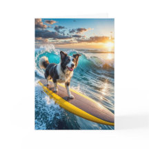 Surfborder Collie