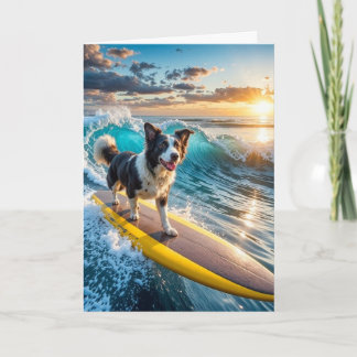 Surfborder Collie Karte