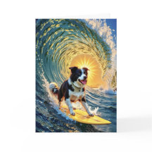 Surfborder Collie