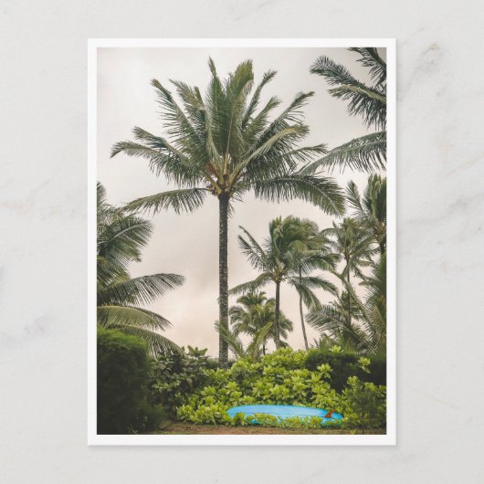 Surfbrett unter einer Palme Hanalei Beach Kauai Postkarte (Vorderseite)
