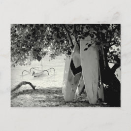 Surfbretter unter einem Baum Postkarte