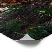 Surfbrettplakat Poster (Ecke)