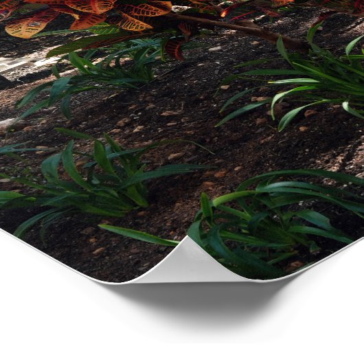 Surfbrettplakat Poster (Ecke)