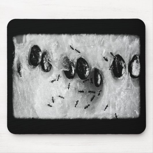 surfen Ameisen Mousepad (Vorne)