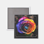 Surfen im Rainbow Rose Magnet (Vorderseite/Rückseite)