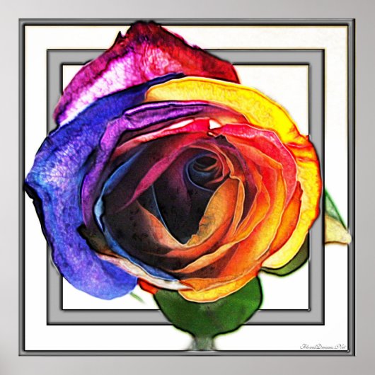 Surfen in der Regenbogen-Rose Poster (Vorne)