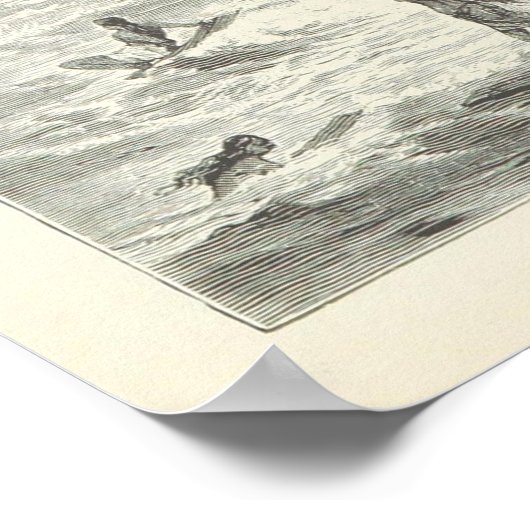 Surfen, Sandwich-Inseln Poster (Ecke)