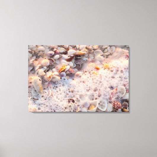 Surfen und Muscheln auf der Insel Sanibel Leinwanddruck (Vorderseite)