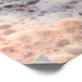 Surfen und Muscheln auf der Insel Sanibel Poster (Ecke)