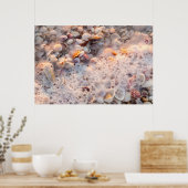 Surfen und Muscheln auf der Insel Sanibel Poster (Küche)