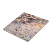 Surfen und Muscheln auf Sanibel Island Fliese (Seite)