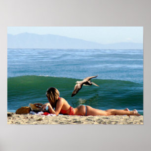 surfende Schönheit Poster