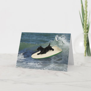 Surfende Scottish Terrier Karte