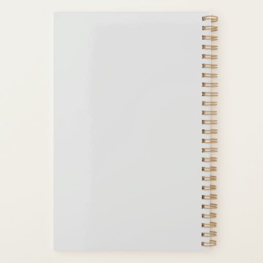 Surfer Planer (Rückseite)