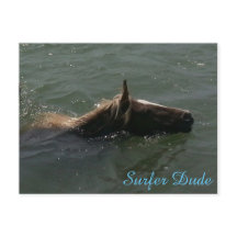 Surfer Typ Postkarte