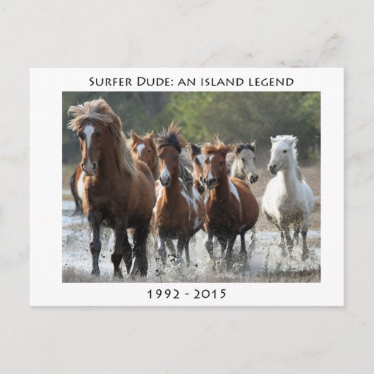 Surfer und seine Band Postkarte (Vorderseite)