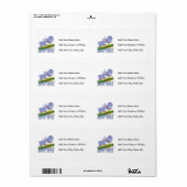 SurferHippopotamus (Vorne)