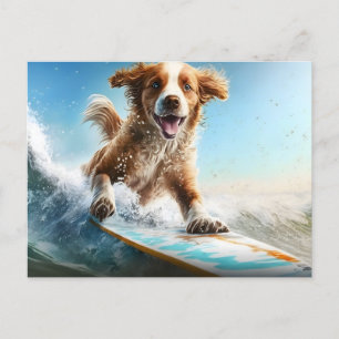 Surfhund Postkarte