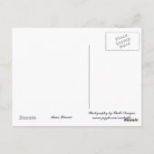 Surfin' die Welle... Postkarte (Rückseite)