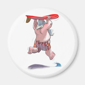 sUrFiN sAnTa Magnet