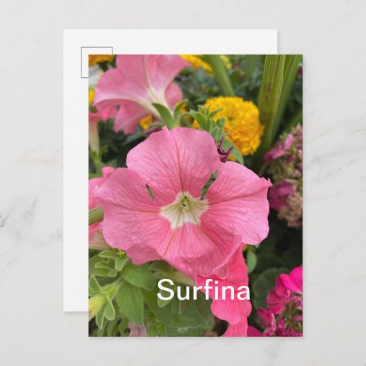 Surfina Postkarte (Vorne/Hinten)