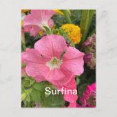 Surfina Postkarte (Vorderseite)