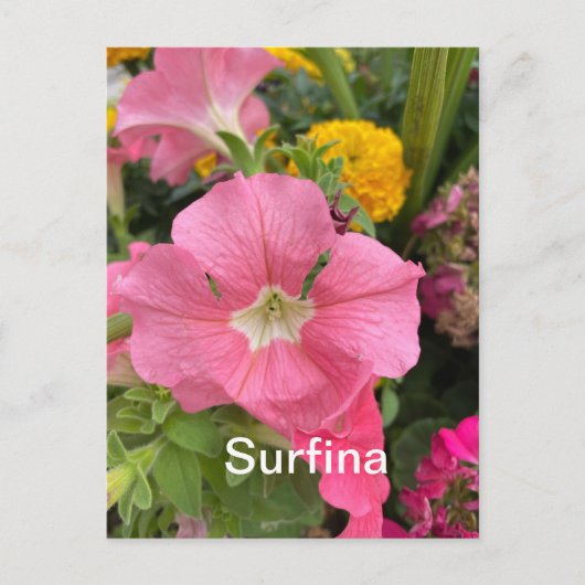 Surfina Postkarte (Vorderseite)