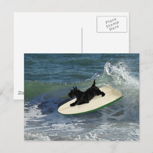Surfing Scottish Terrier Postkarte (Vorne/Hinten)
