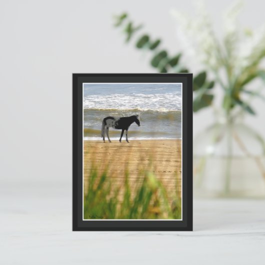 Surfpferd Postkarte (Stehend Vorderseite)