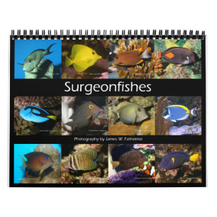 Surgeonfish Wall Calendar von J.W. Vater. Kalender