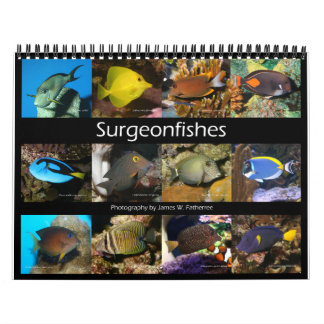 Surgeonfish Wall Calendar von J.W. Vater. Kalender