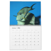 Surgeonfish Wall Calendar von J.W. Vater. Kalender (Jan 2026)