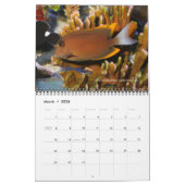 Surgeonfish Wall Calendar von J.W. Vater. Kalender (Mär 2026)