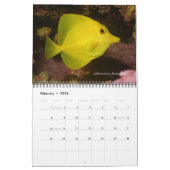 Surgeonfish Wall Calendar von J.W. Vater. Kalender (Feb 2026)