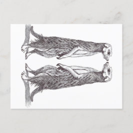 SURICATA LOVE. MEERKAT LOVE. FEIERTAGSPOSTKARTE