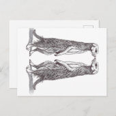 SURICATA LOVE. MEERKAT LOVE. POSTKARTE (Vorne/Hinten)